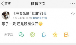 吃瓜爆料是什么意思,网络时代的八卦风向标